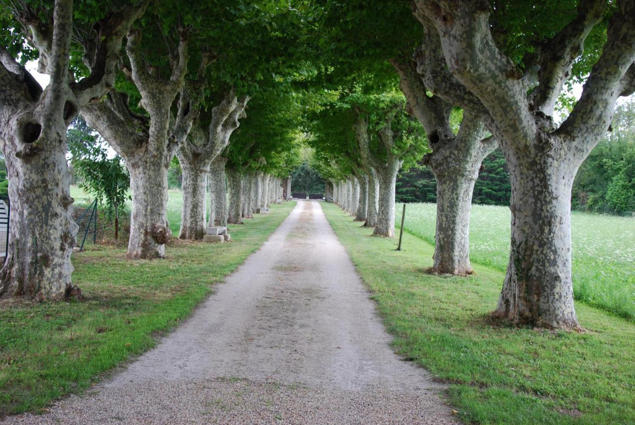 Le Mas Saint Jacques Le Pontet  Zewnętrze zdjęcie